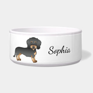 Black And Tan Wire Haired Dachshund Dog & Name