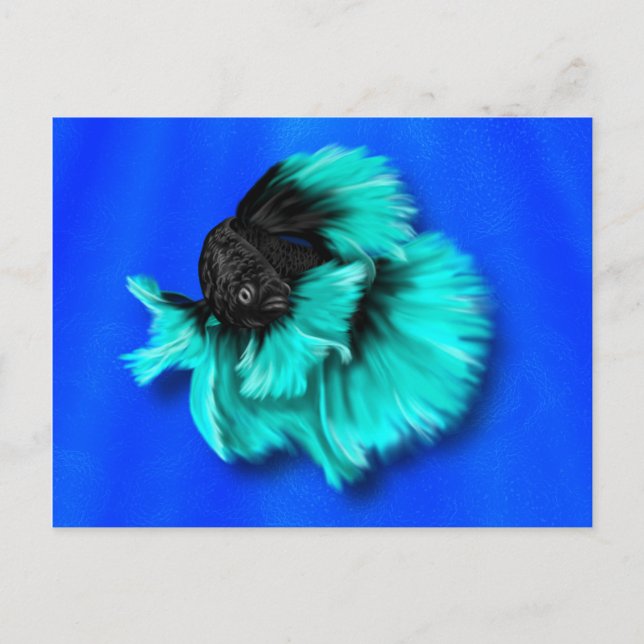 Black and Teal Betta Fish Postcard (Front)