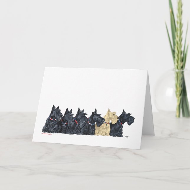 Black and Wheaten Scottish Terriers Card (Front)
