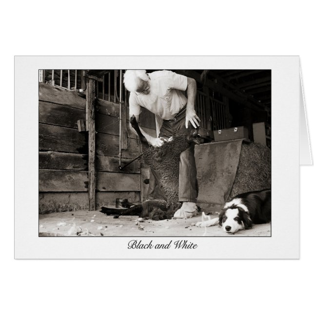 black and white (Front Horizontal)