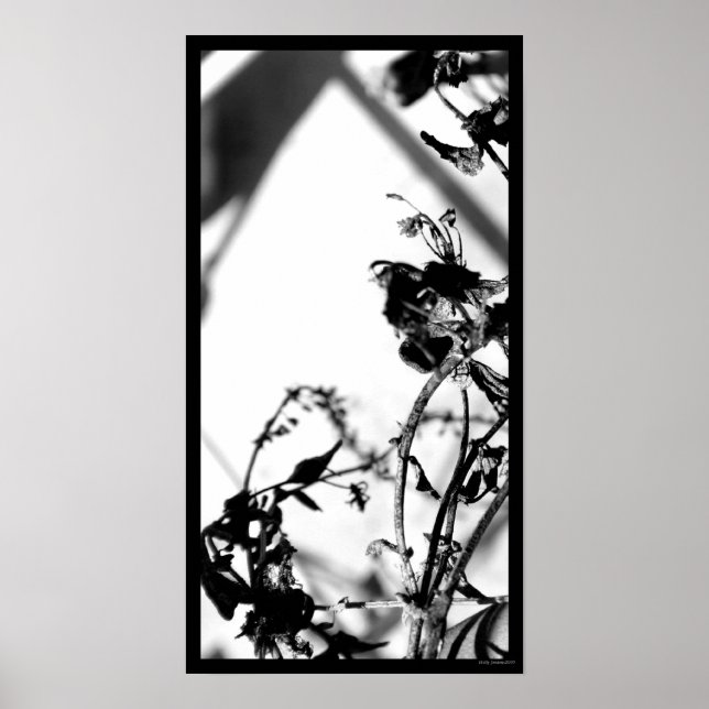 black and white 001 poster (Front)