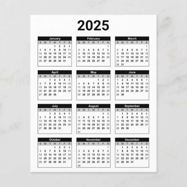 Black and White 2025 Year At A Glance Calendar Flyer (Front)