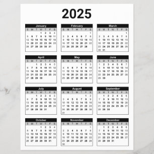 Black and White 2025 Year At A Glance Calendar Flyer