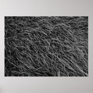 Black and white abstract painting poster