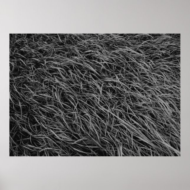 Black and white abstract painting poster (Front)