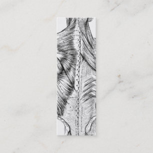 Black and White Anatomy Art Back Muscles (1890) Mini Business Card