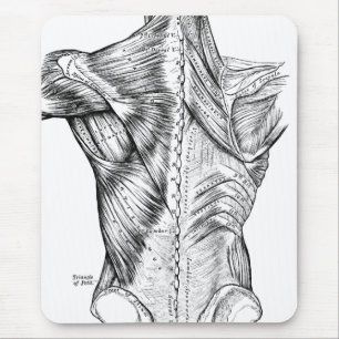 Black and White Anatomy Art Back Muscles (1890) Mouse Pad