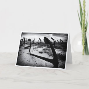 Black and white anchors blank greetings card