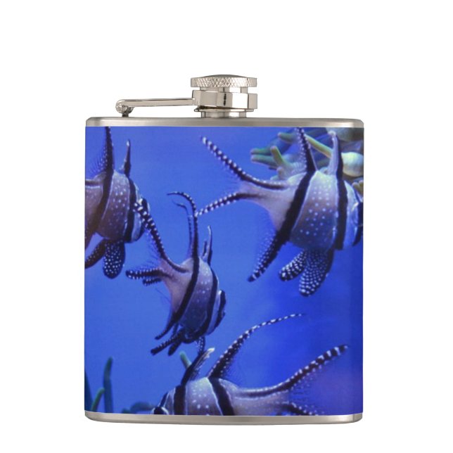 Black and White Angelfish in Deep Blue Sea Hip Flask (Front)