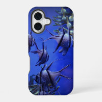 Black and White Angelfish in Deep Blue Sea