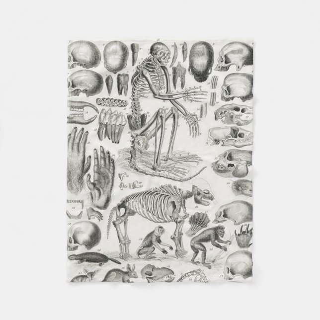 Black and White Animal Skeleton Mammalia Fleece Blanket (Front)