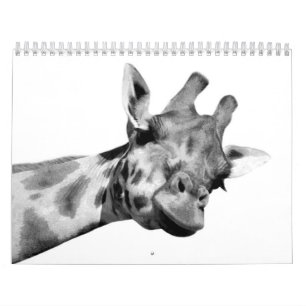 Black and White Animals Calendar