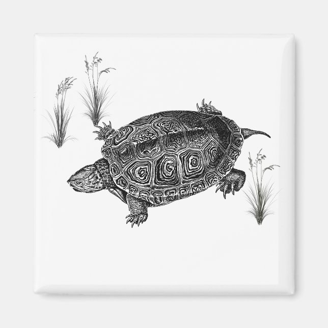 Black and White Aquatic Turtle Magnet (Front)