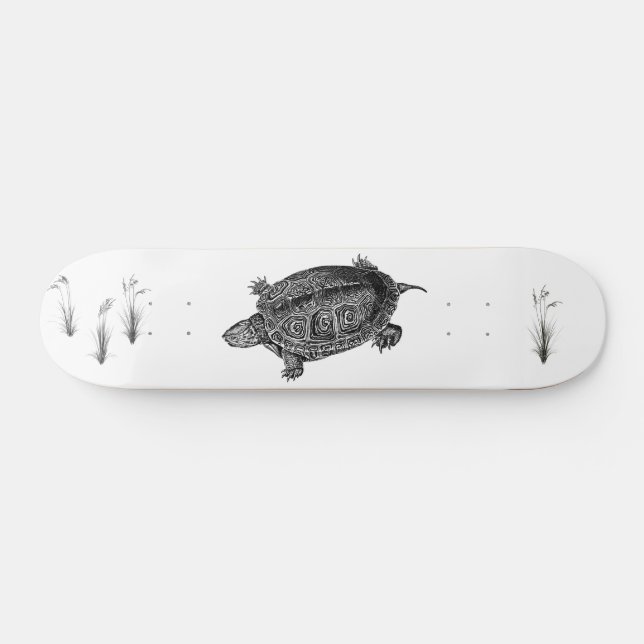 Black and White Aquatic Turtle Skateboard (Horz)