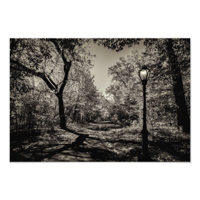 Black and White Autumn Central Park view Photo Print (Front)