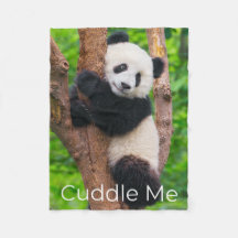 Black and White Baby Panda Cub in Tree Cuddle Me