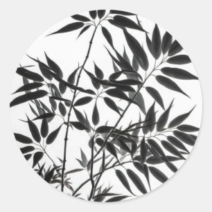 Black and White Bamboo Plant Classic Round Sticker