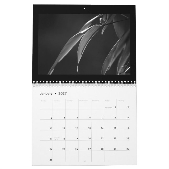 Black and White Bamboo Zen 2015 Calendar (Jan 2027)
