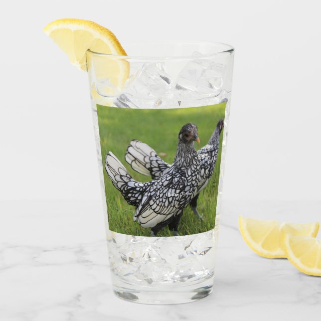 Black and White Bantam Chicken Collectors Beverage Glass (Front Ice)