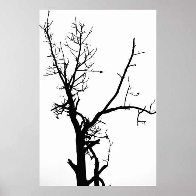 Black and White Bare Tree Poster (Front)