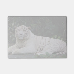 Black and White Bengal Tiger relaxed and smiling Post-it Notes