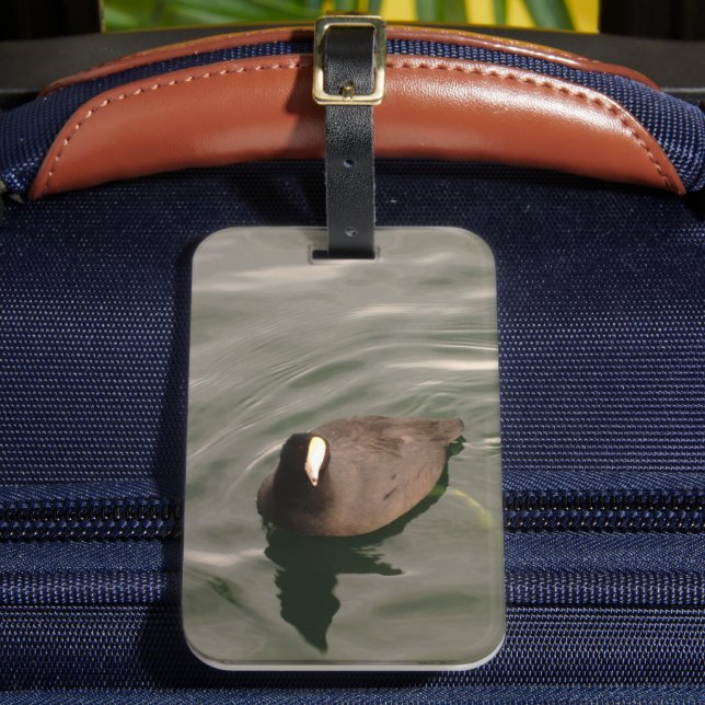 Black-and-White Bird American Coot Luggage Tag (Front Insitu 2)