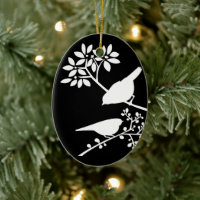 Black and White Birds
