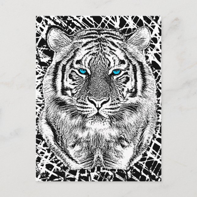 Black And White Blue Eyes Tiger Graphic Postcard (Front)