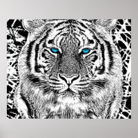 Black And White Blue Eyes Tiger Graphic