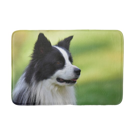 dog bath mat