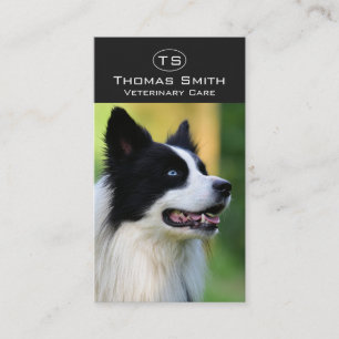 Black and White Border Collie Dog Business Card