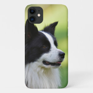 Black and White Border Collie Dog Case-Mate iPhone Case