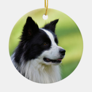 Black and White Border Collie Dog Ceramic Tree Decoration