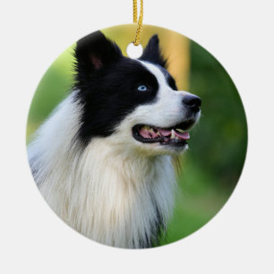 Black and White Border Collie Dog Ceramic Tree Decoration