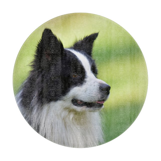 Black and White Border Collie Dog Cutting Board (Front)