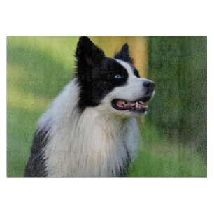 Black and White Border Collie Dog Cutting Board
