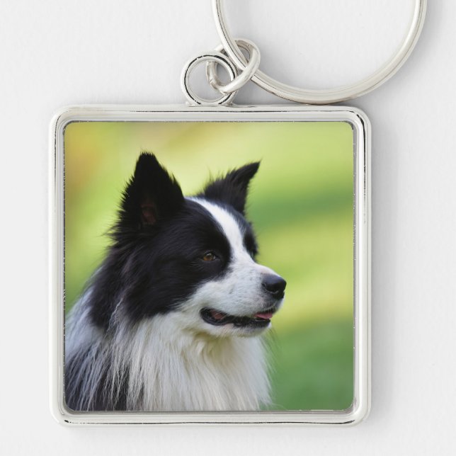 Black and White Border Collie Dog Key Ring (Front)