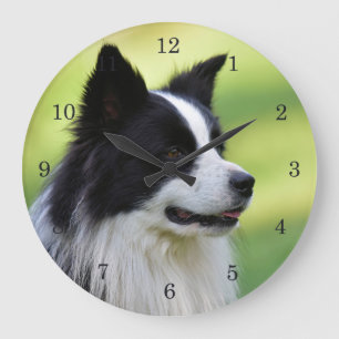 Black and White Border Collie Dog Large Clock