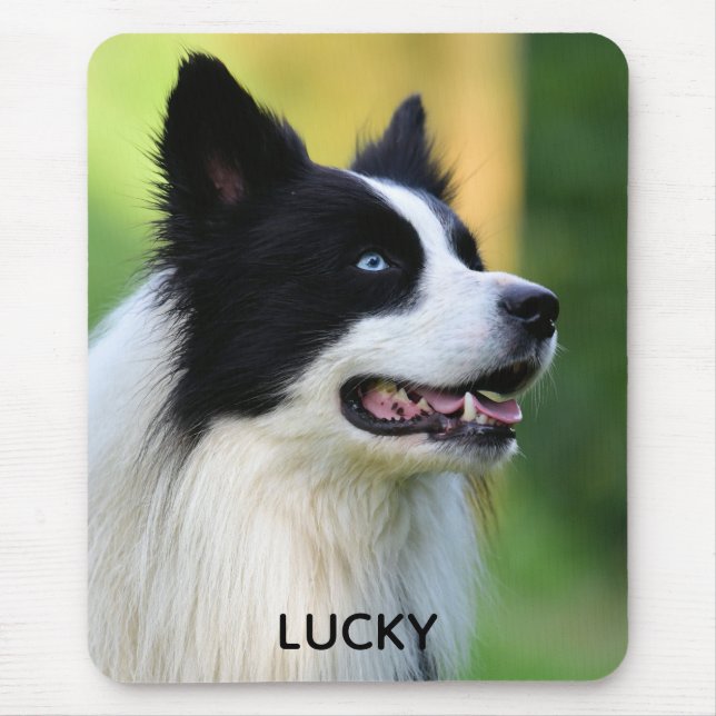 Black and White Border Collie Dog Mouse Pad (Front)