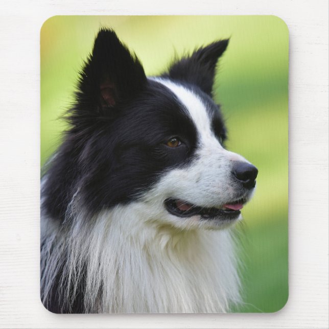 Black and White Border Collie Dog Mouse Pad (Front)