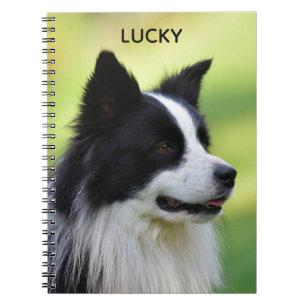 Black and White Border Collie Dog Notebook