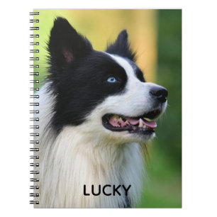 Black and White Border Collie Dog Notebook