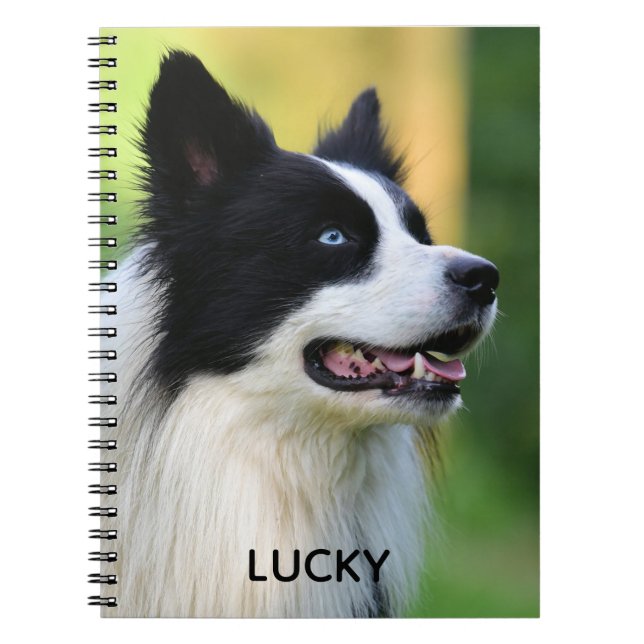 Black and White Border Collie Dog Notebook (Front)