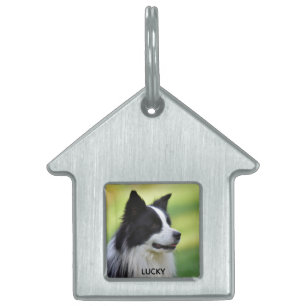 Black and White Border Collie Dog Pet ID Tag