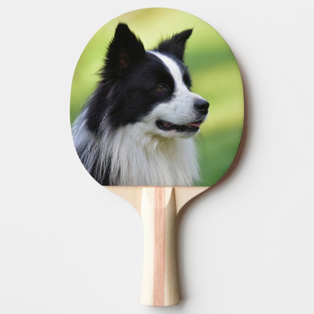 Black and White Border Collie Dog Ping Pong Paddle (Front)