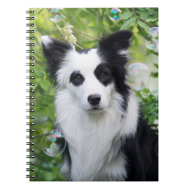 Black and White Border Collie Notebook (Front)