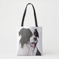 Black and white Border Collie