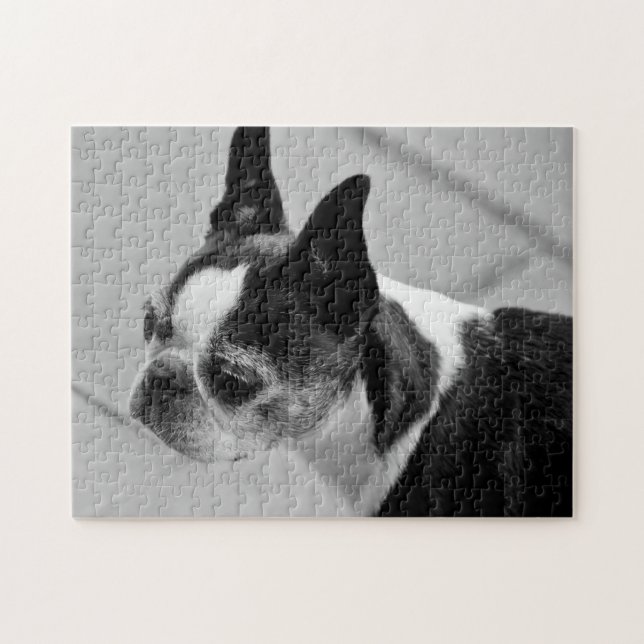 Black and White Boston Terrier Jigsaw Puzzle (Horizontal)