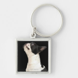 Black and white Boston Terrier looking up Key Ring