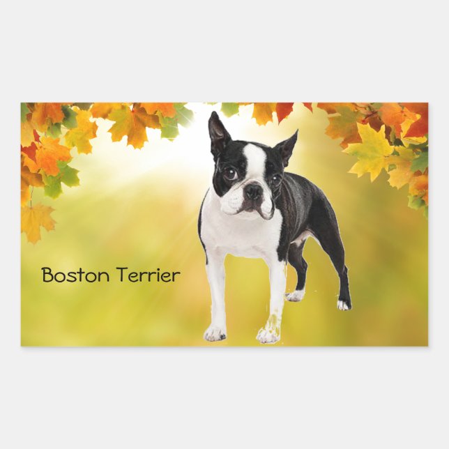 Black and White Boston Terrier Rectangular Sticker (Front)